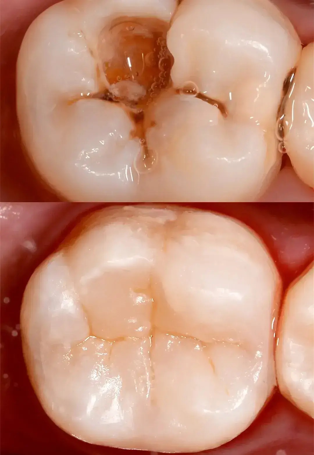 Dental-Center